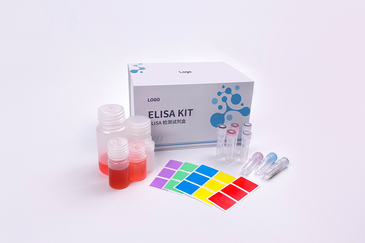 精准定制，全程守护——镕达生物试剂盒包装定制解决方案
